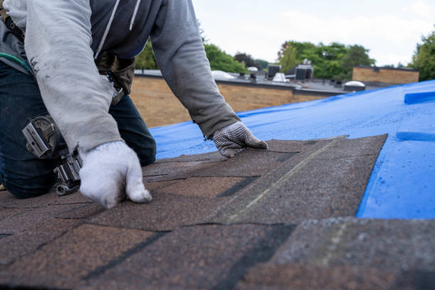 Roof Waterproofing Services in Martindale, TX